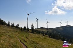 2024-08-24 KTRE 2024 -092707-DSC_1106